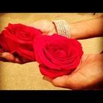 Roses 12.12.12